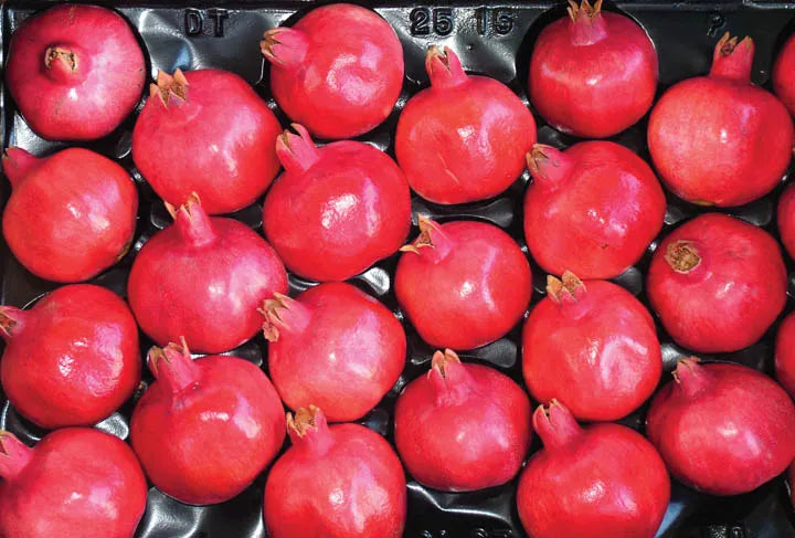 Organic Pomegranate Box